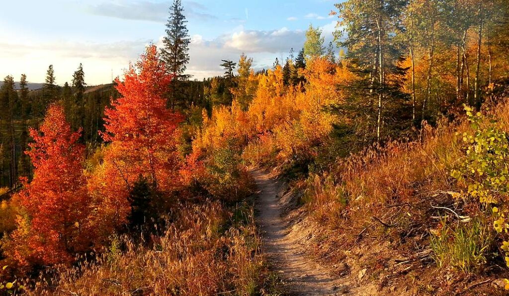 Colorado Hiking Trails