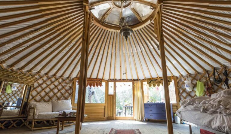 Yurt Summer